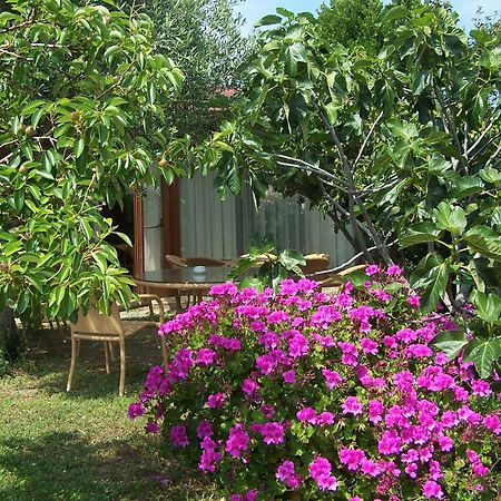Hotel Club Ragno D'Oro Olbia Tempio Экстерьер фото