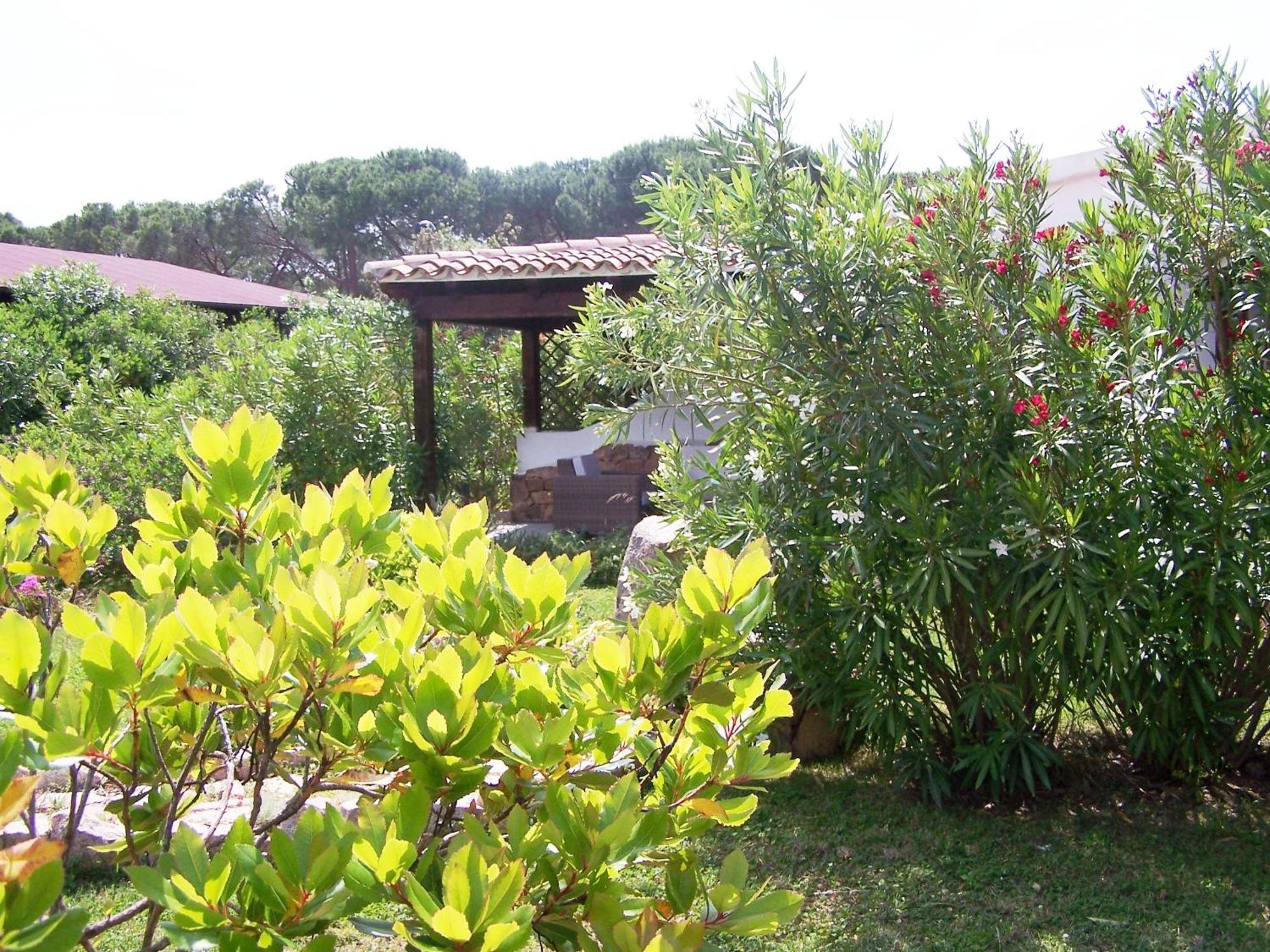 Hotel Club Ragno D'Oro Olbia Tempio Экстерьер фото